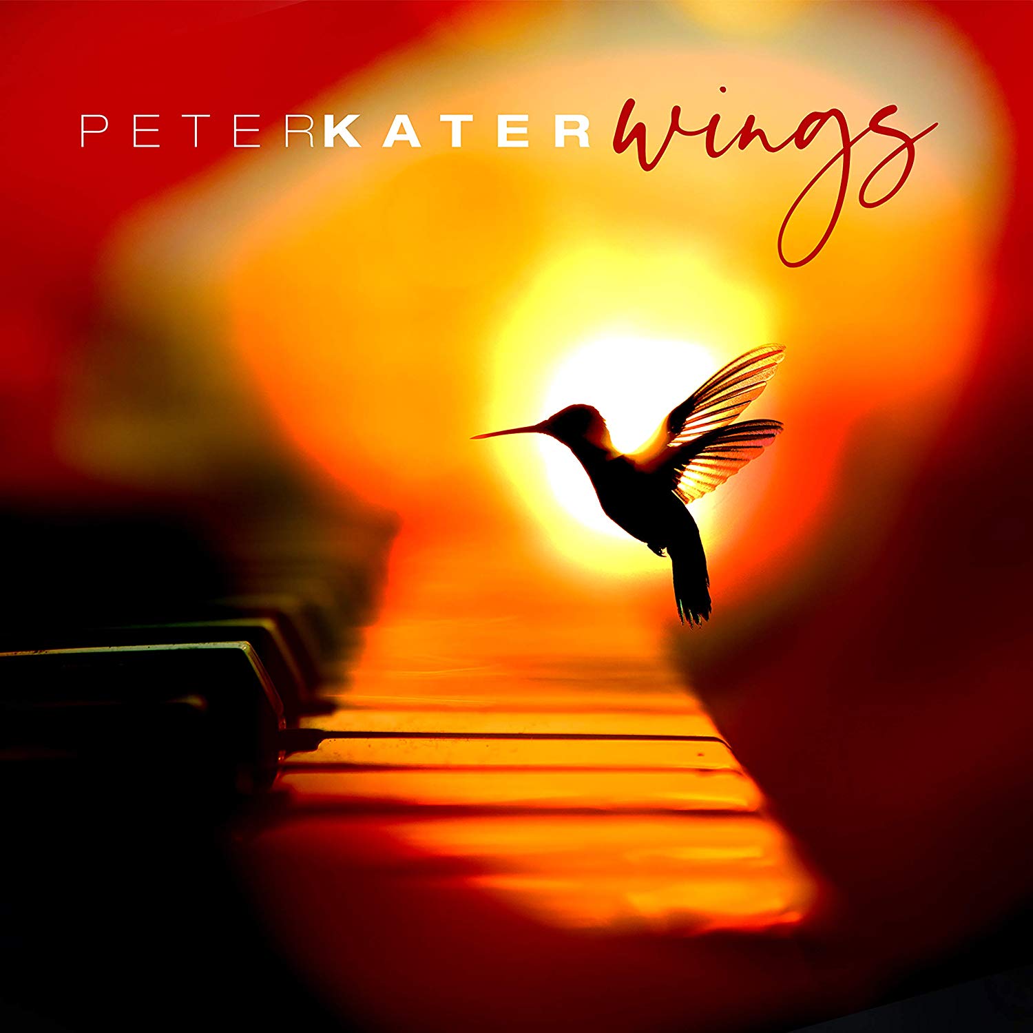 peter kater wings 